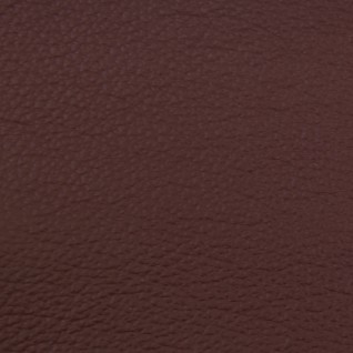 Zin V200