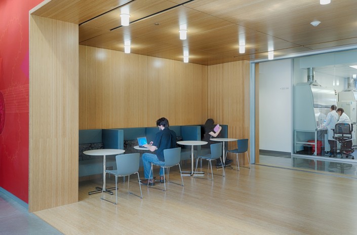 Reveal Stanford University