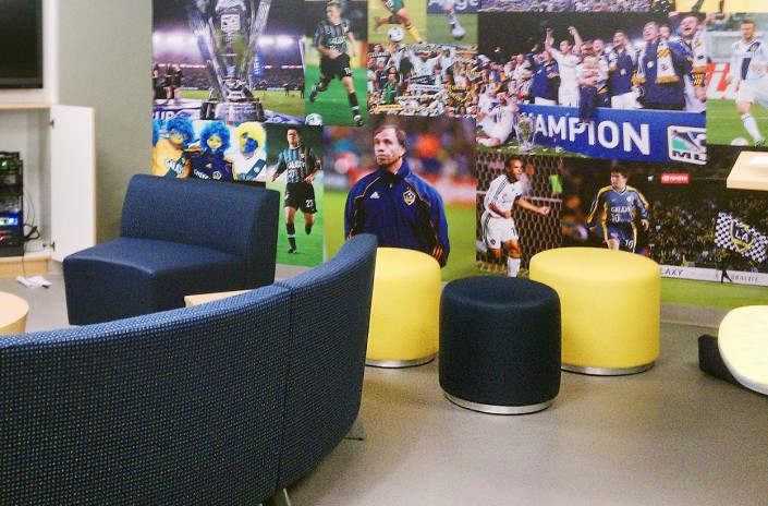 Q-Bitz LA Galaxy