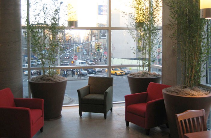 Spyglass Whole Foods-NYC