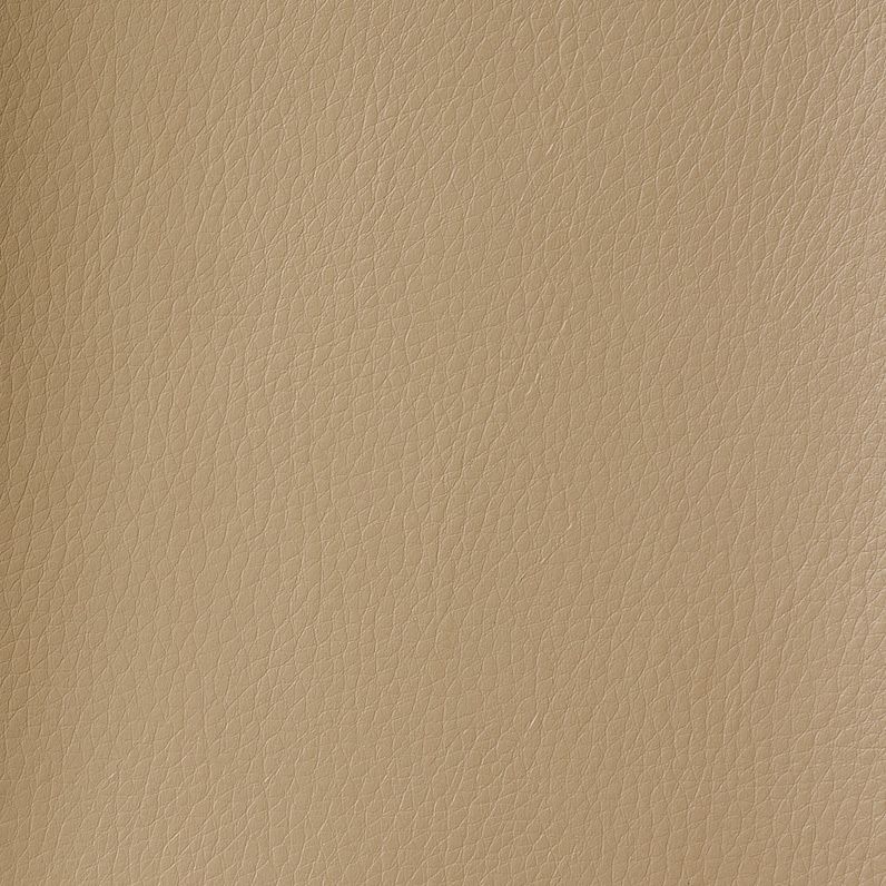 Camel TDL01