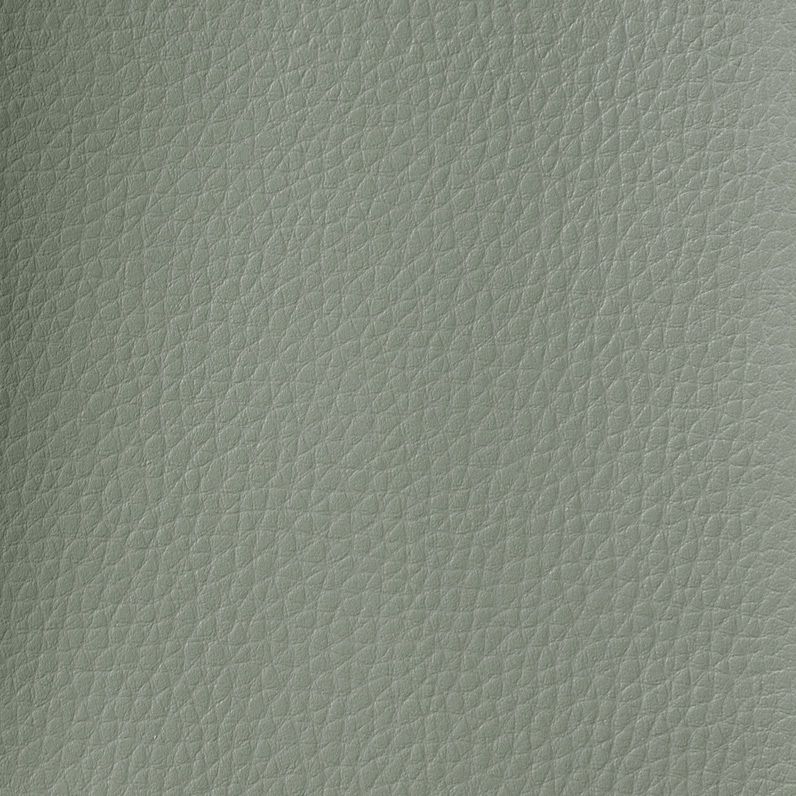 Salvia SHR04